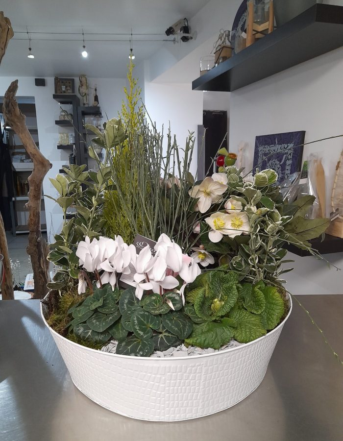 20230222_120024 20230222_120024