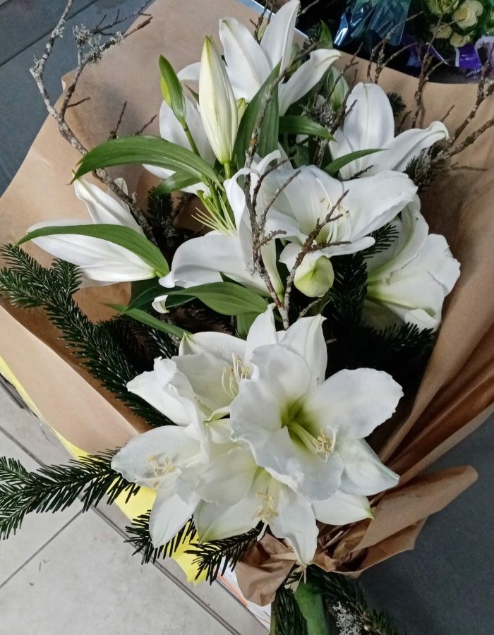 Crémation Crémation