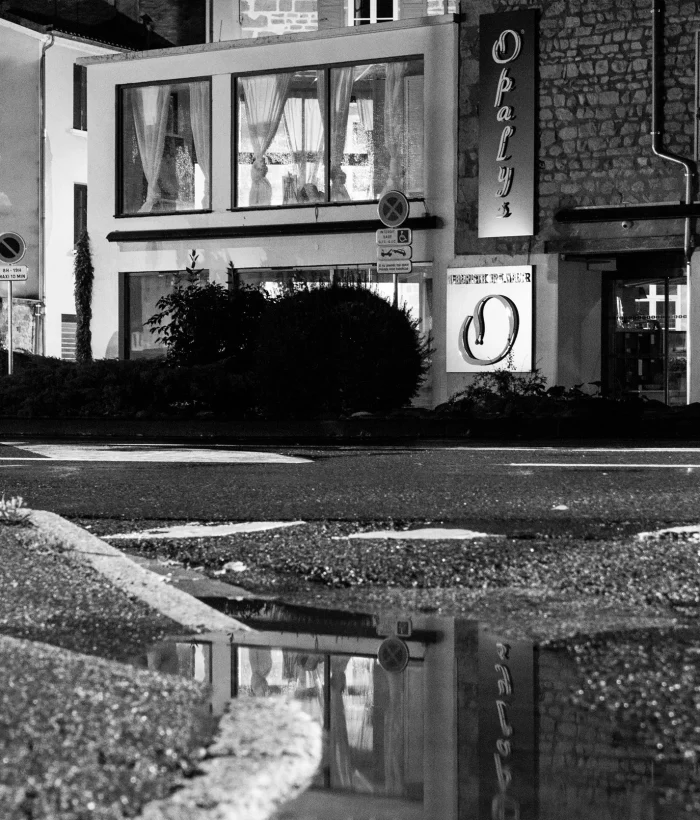 opalys_fleuriste_montbrison_53 opalys_fleuriste_montbrison_53